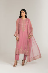 3 Piece Chiffon Embroidered Suit (FL0030)